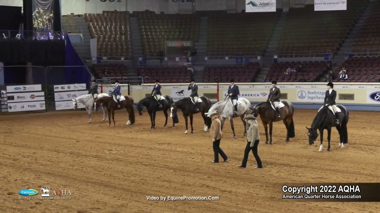 2022 Farnam AQHA and Adequan Select World Senior Hunter Under Saddle