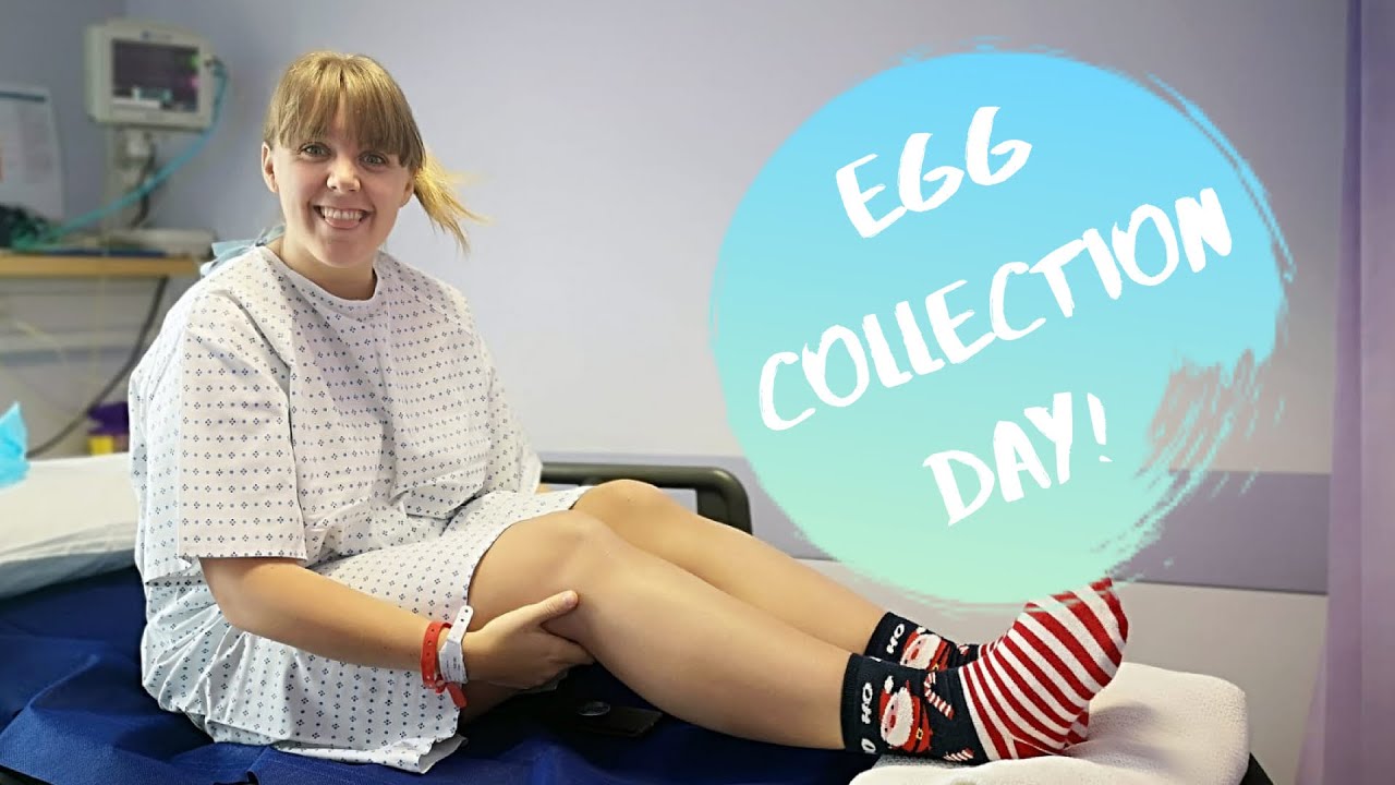 How Many Eggs?!? (IVF #3) | Lesbian TTC - UK