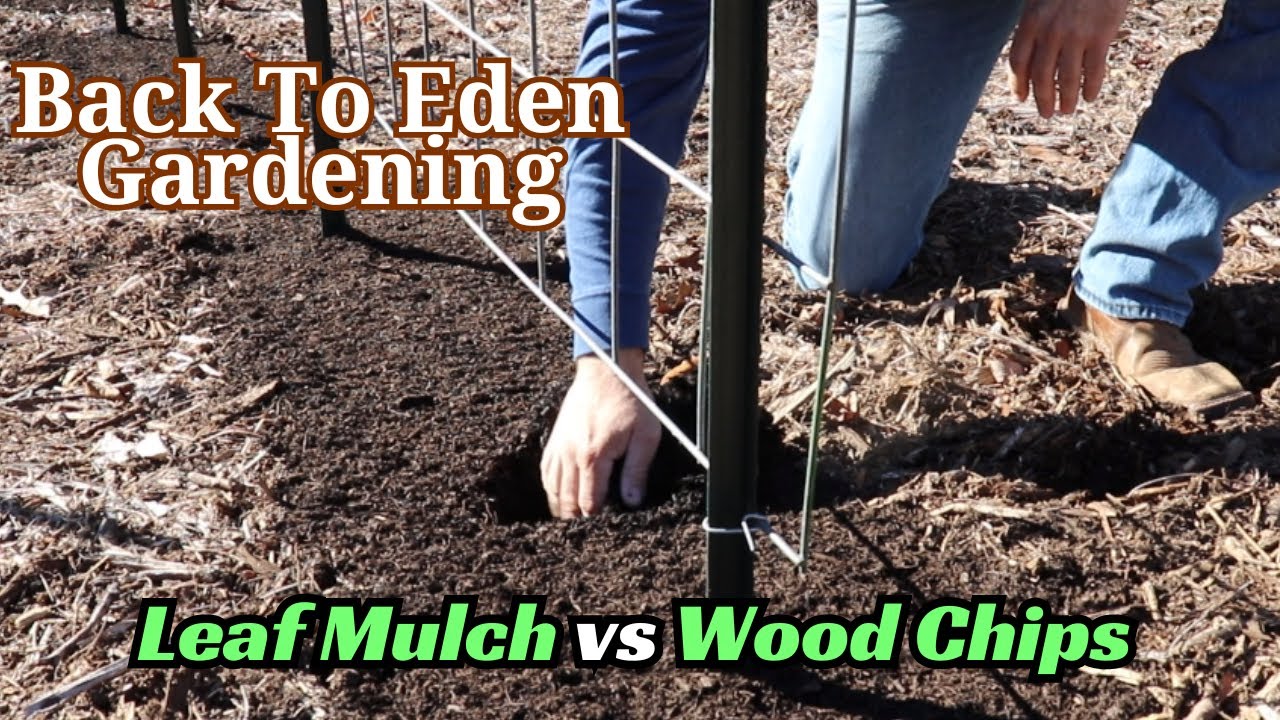 Wood Chips vs Leaf Mulch for Back to Eden Garden