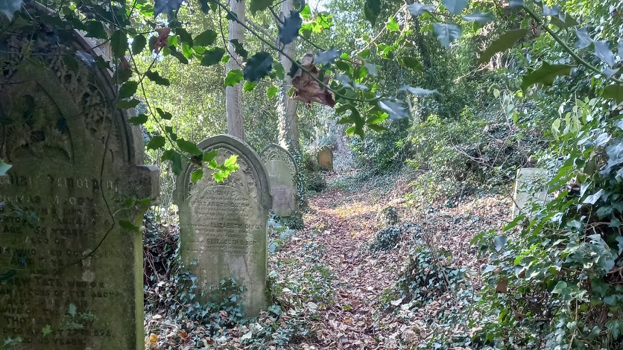 The Cemetery in the Woods