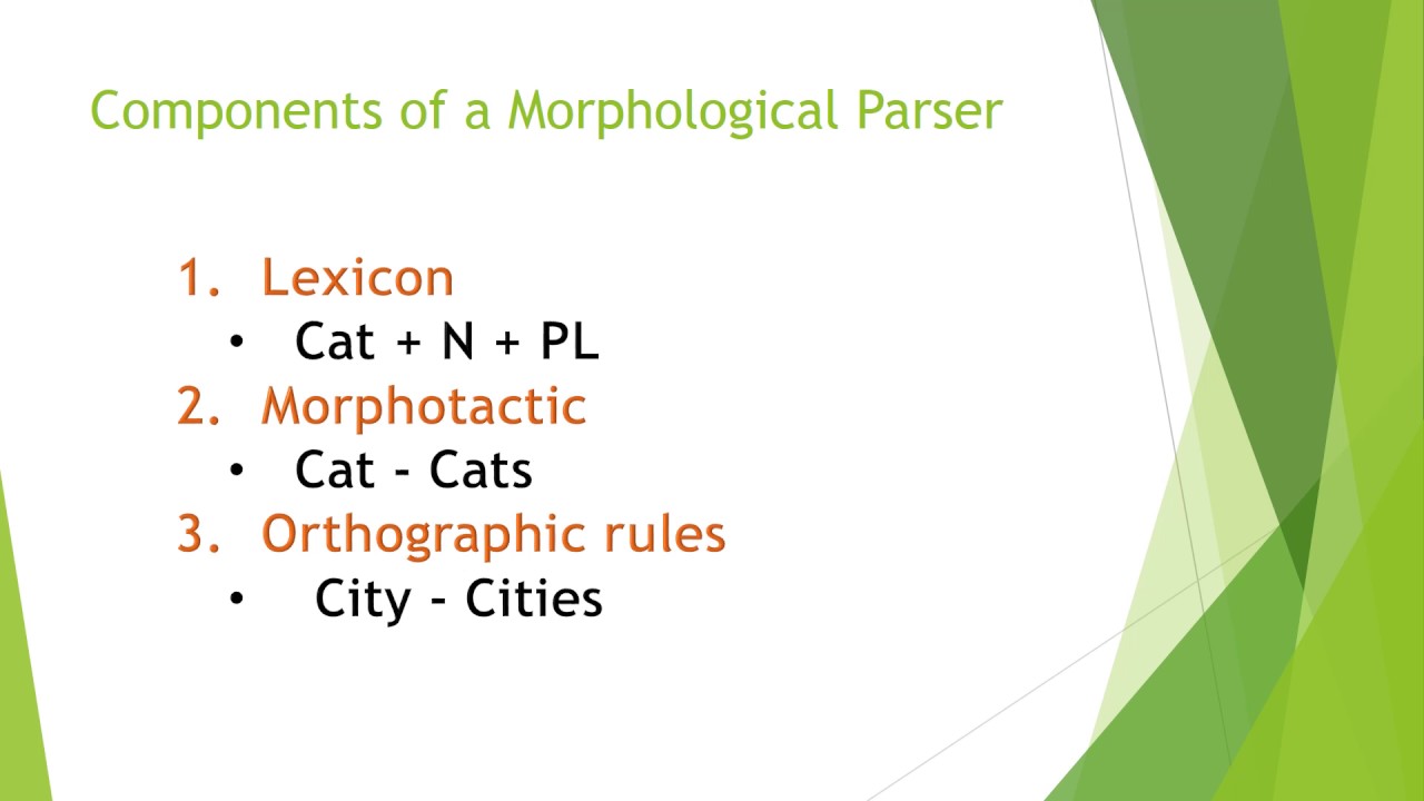 Morphological Parser