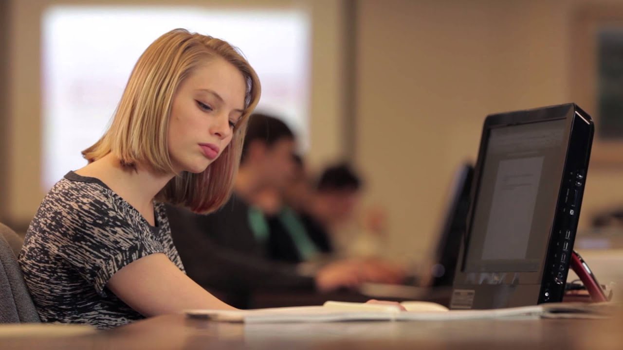 The Student Experience