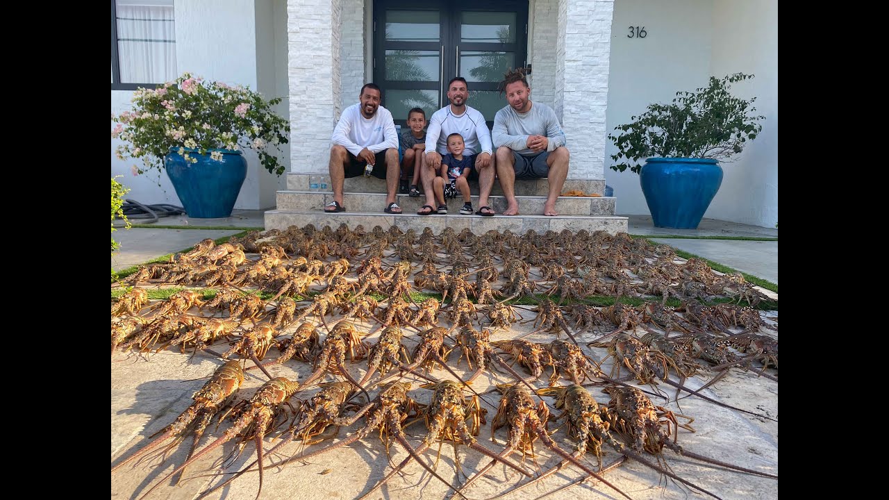 FULL 2 DAY LOBSTER LIMIT FOR 8 GRABBING 3 AT A TIME.4k