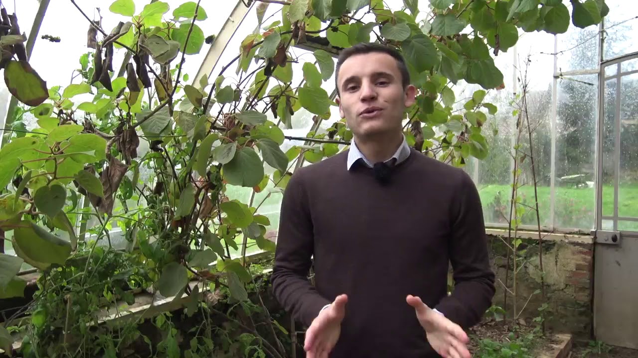Valentin Bru nous présente sa création : Les Jardins de la Houssaye