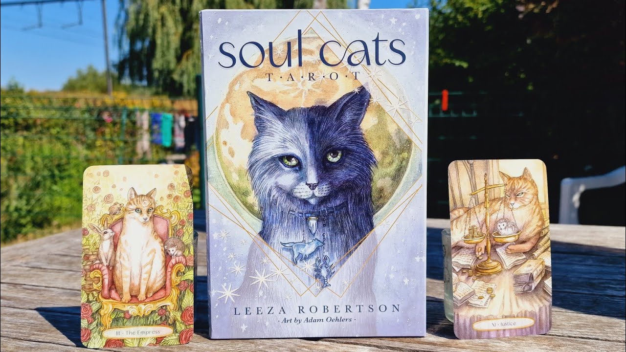 🐈 Le Soul cats tarot de Leeza Robertson, un magnifique tarot sur les chats 🐱