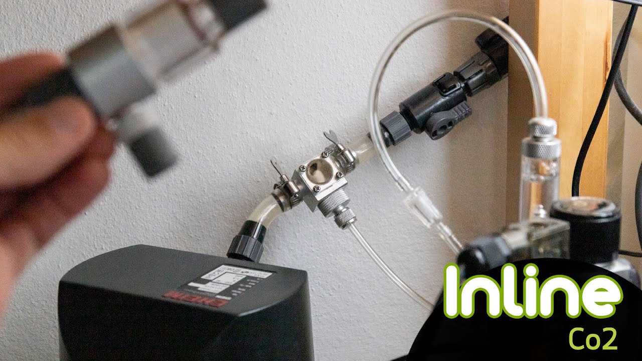 Co2 แบบ Inline : ระบบคาร์บอนตู้ไม้น้ำ
