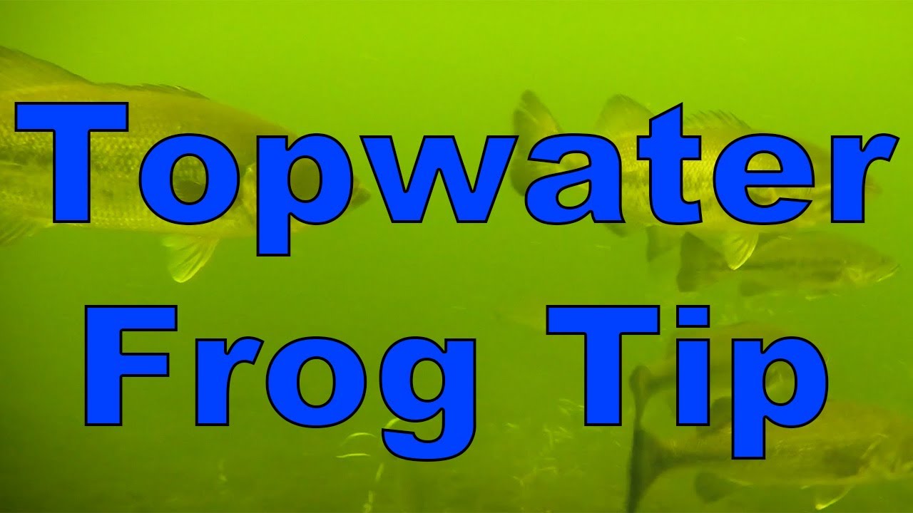 In-Fisherman TV: Springtime Froggin' for BIG Largemouth Bass
