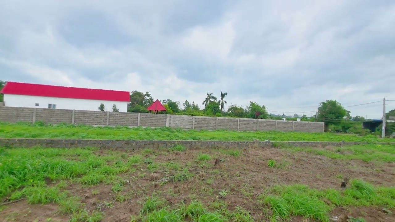 Đất vườn giá rẻ 963m phước long thọ giá 2 tỷ 200