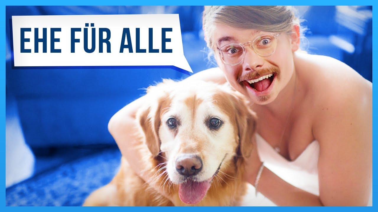 Endlich Hunde und Lampen heiraten!