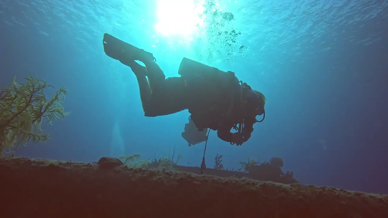 Cayman 2025 | Day 4 – Dive 1 | Marty’s Wall to Doc Paulson Wreck 🌊