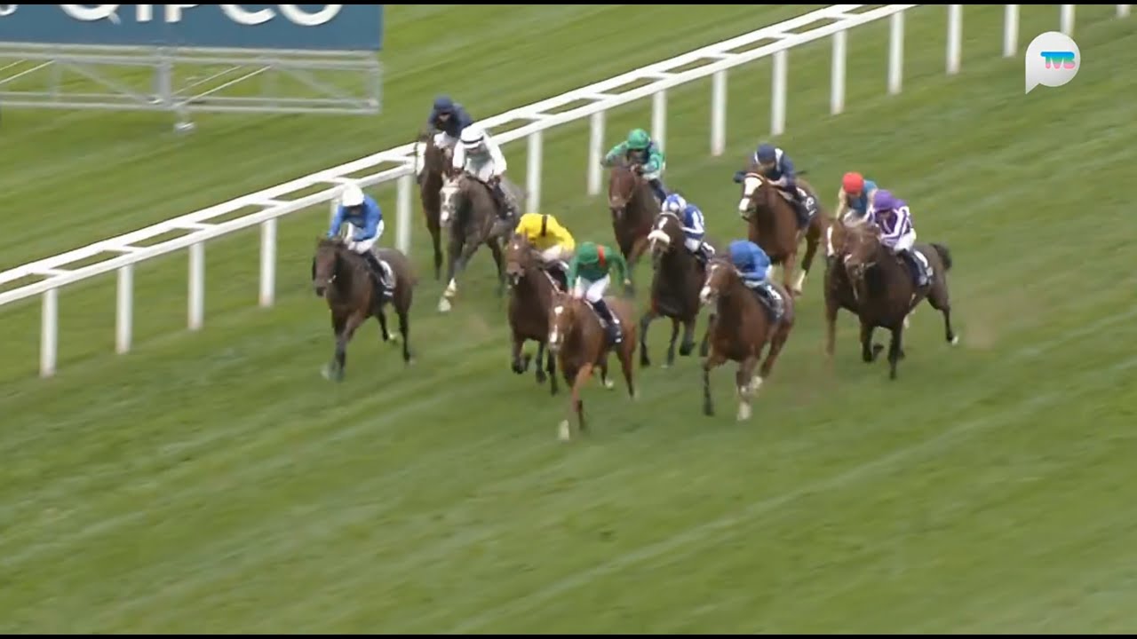 英國冠軍錦標 Champion Stakes 一級賽 G1 1993m 2025-10-18 格倫島 Calandagan 雅士谷馬場 Ascot Racecourse