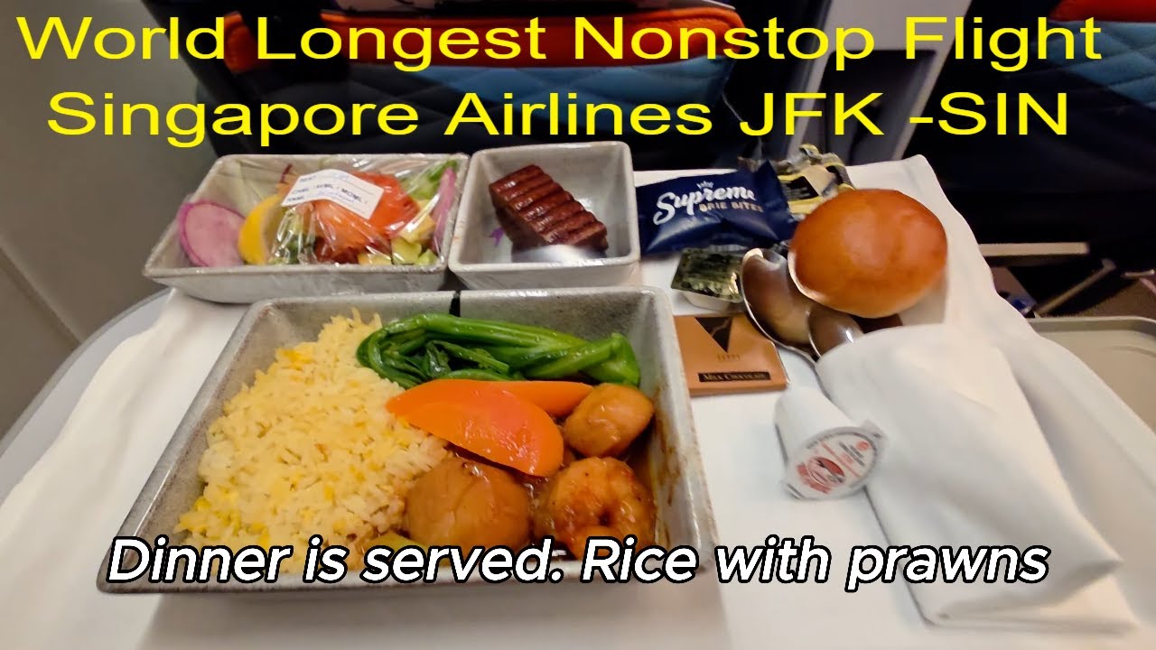 18 HOURS on SQ23 Singapore Airlines Premium Economy! New York JFK to Singapore on Airbus A350-900ULR