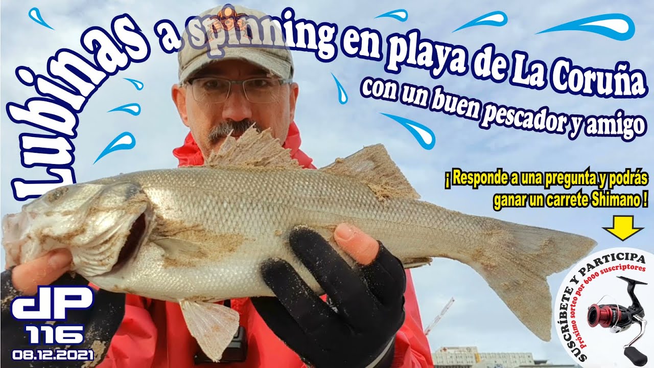 LUBINAS A SPINNING EN PLAYA DE LA CORUÑA. Pescando con un nuevo amigo [Fishing Sea bass from beach]