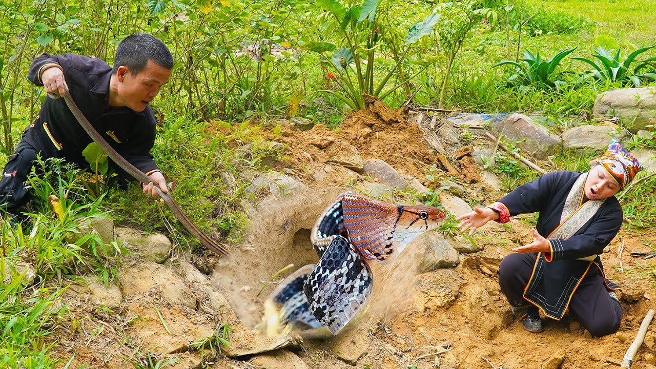 Dwarf Family Renovating Fish Tank Unexpectedly Discovers Snake Cave | Primitive Life