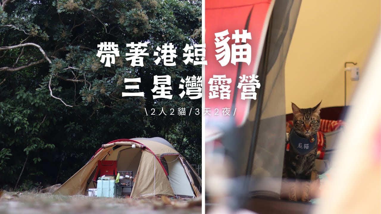 【帶著港短去露營】2人2貓三星灣3天2夜跨年露營，獨享無人營地和沙灘，一天帶貓散步三次是什麼體驗！