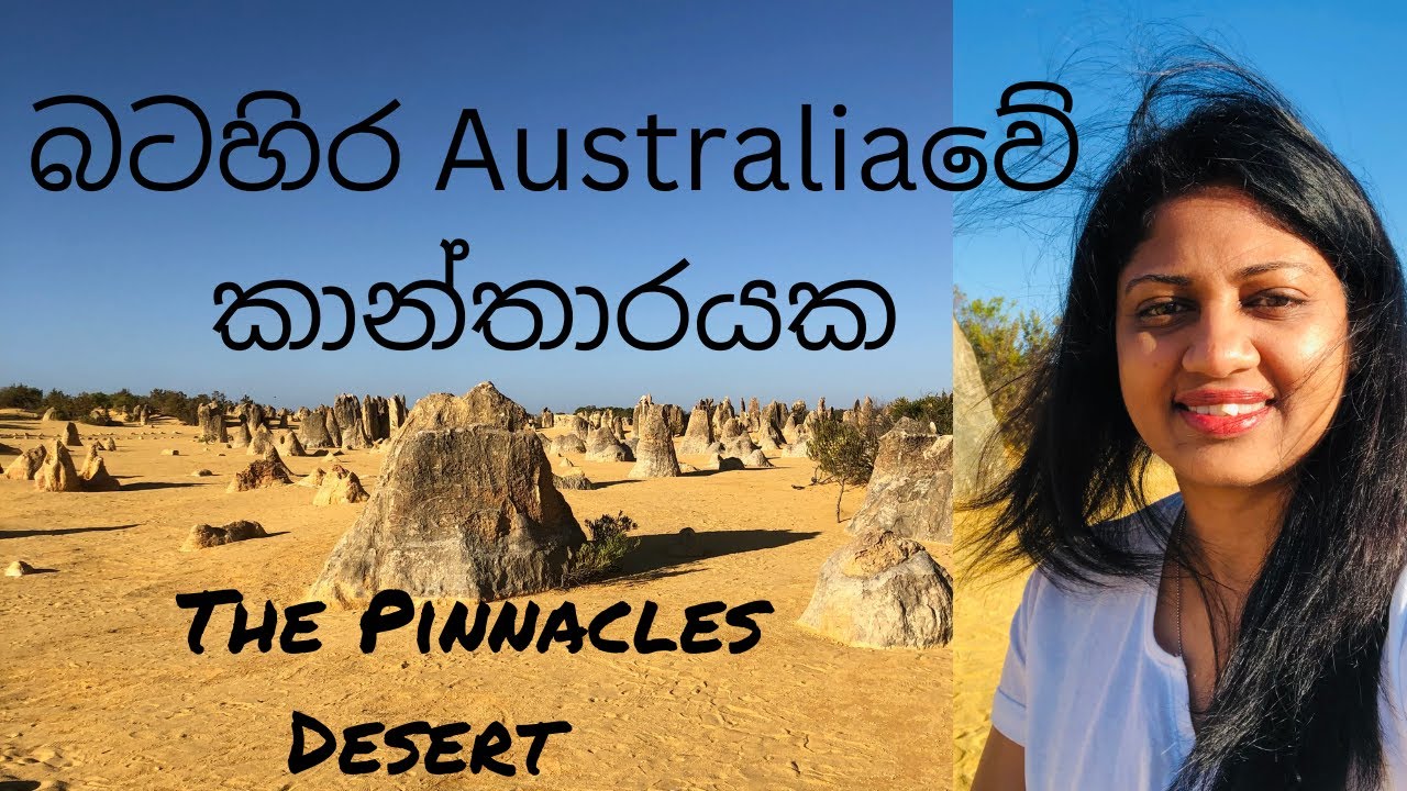 The Pinnacles desert | Best places to visit in Perth Australia in 2022