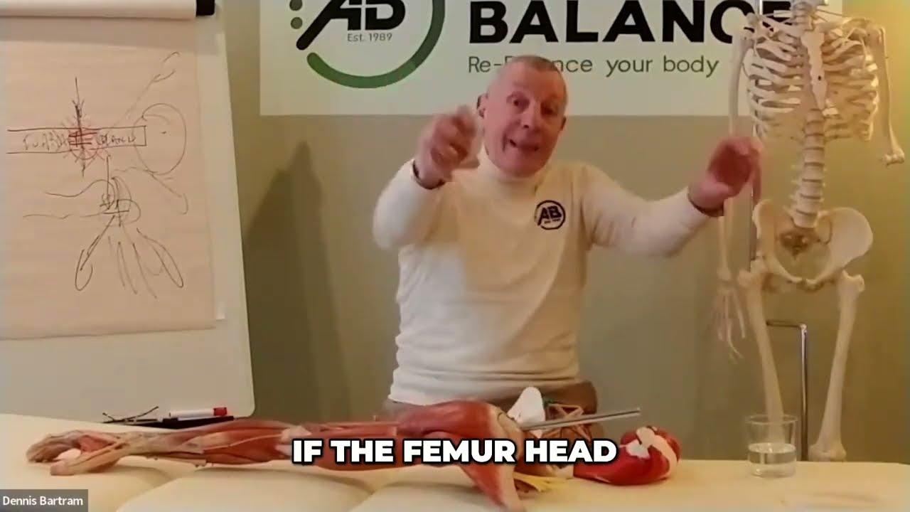 #11 Unlocking Joint Mobility  Mastering Ligament and Muscle Balance