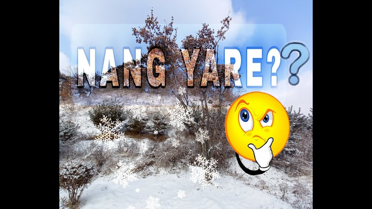 SNOW SOUTH KOREA | HARU-HARU VLOG