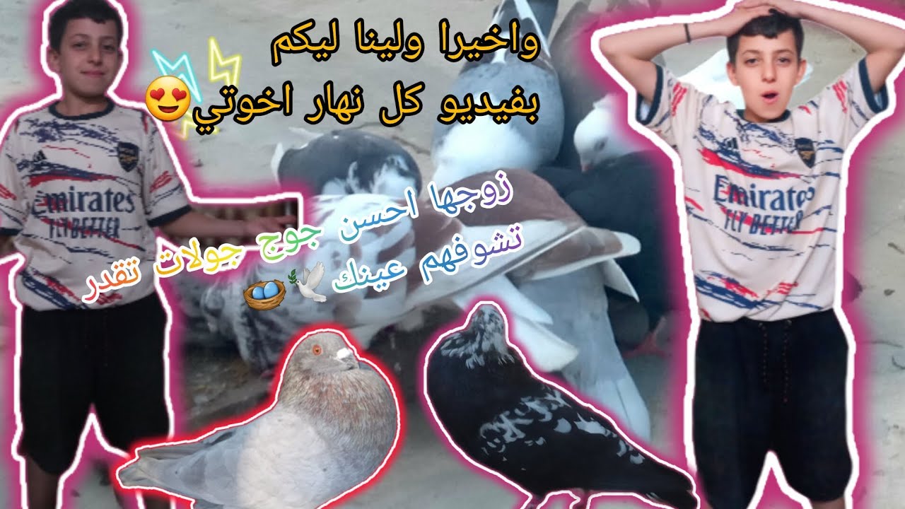 وأخيرا ولينا ليكم😍🕊🪺بفيديو كل نهار اخوتي 🥰🕊🪺