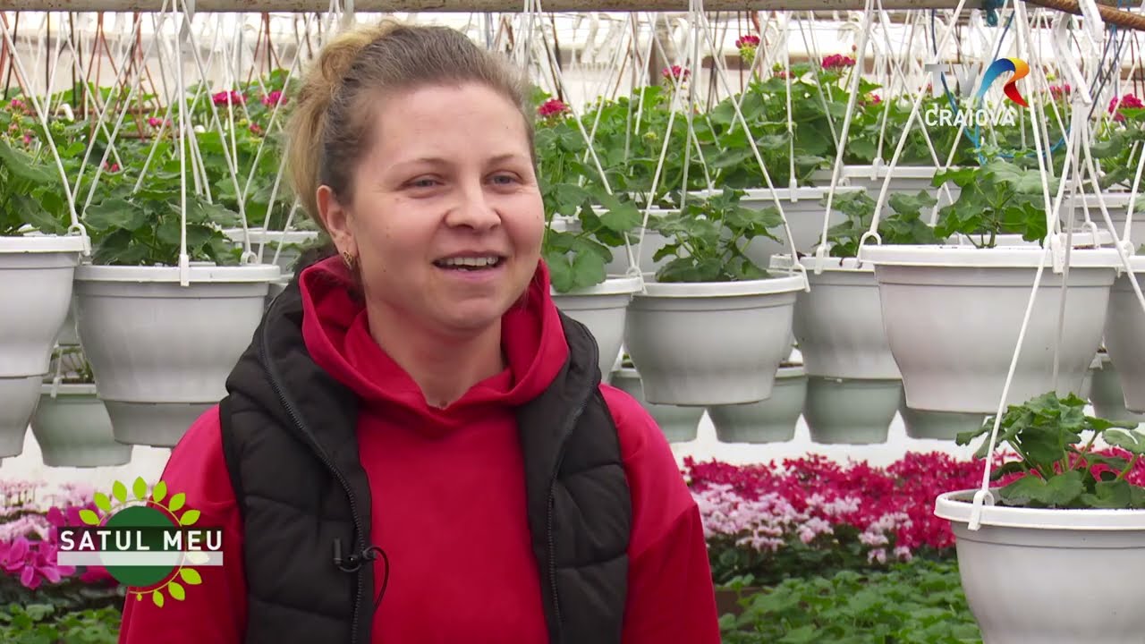 Satul meu - producătorii de flori din Unirea si Bratovoiești