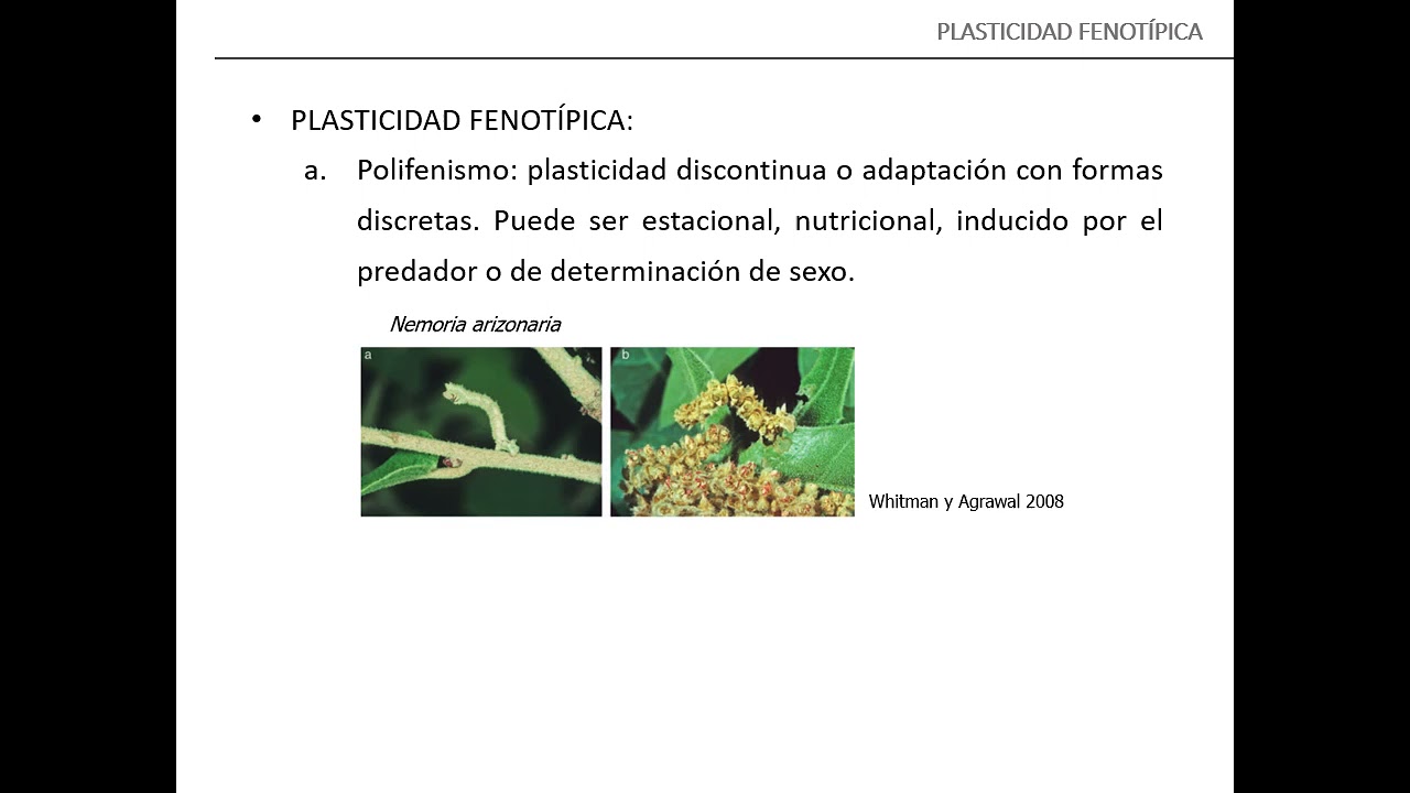 Unidad 1 8 Plasticidad fenotípica