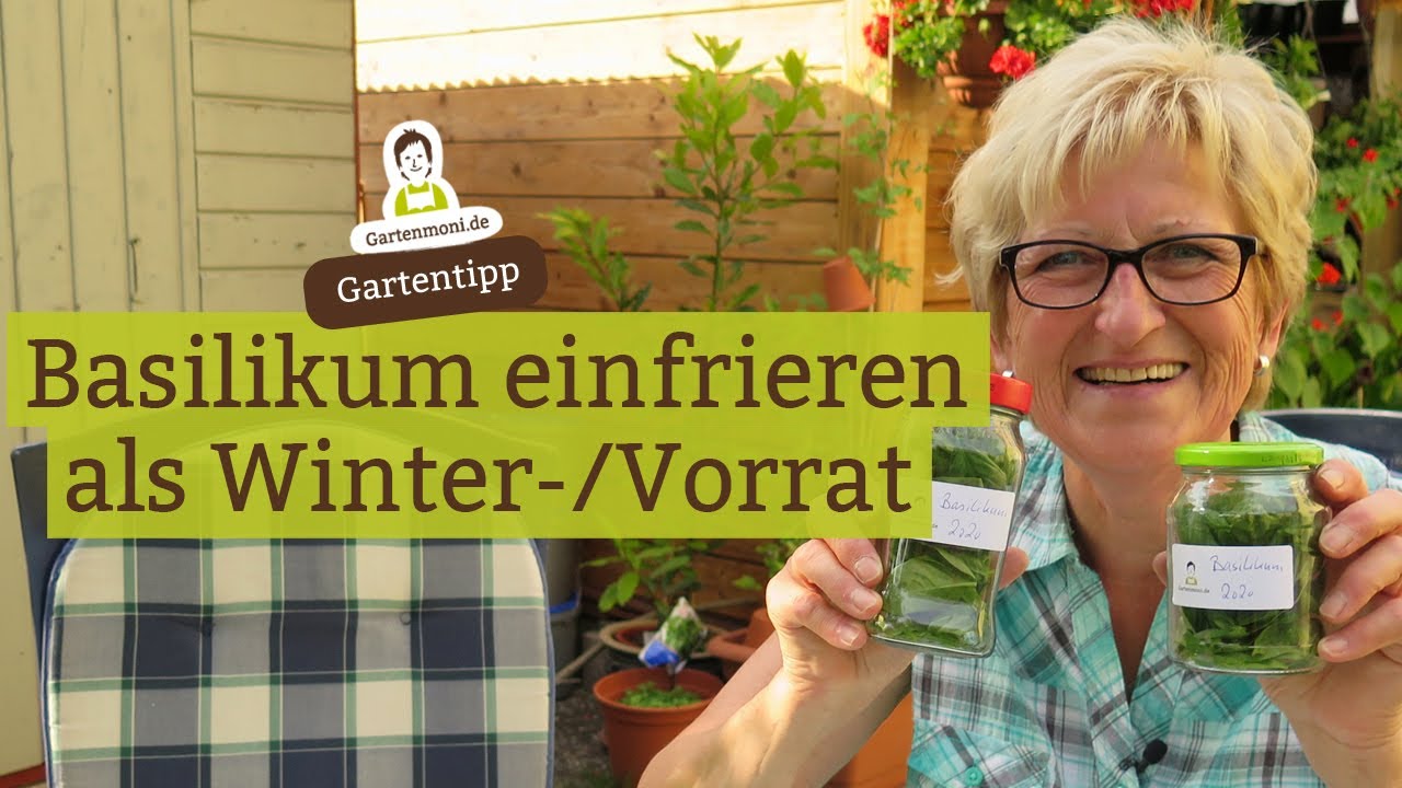 Tiefk&uuml;hl-Basilikum mit bestem Aroma - Basilikum eingefrieren | Basilikum Vorrat f&uuml;r das ganze Jahr