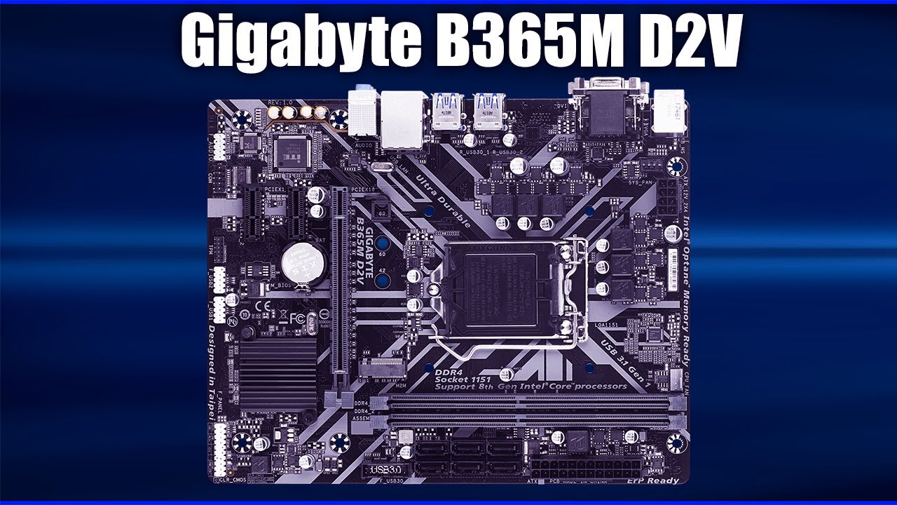 Материнская плата Gigabyte B365M D2V