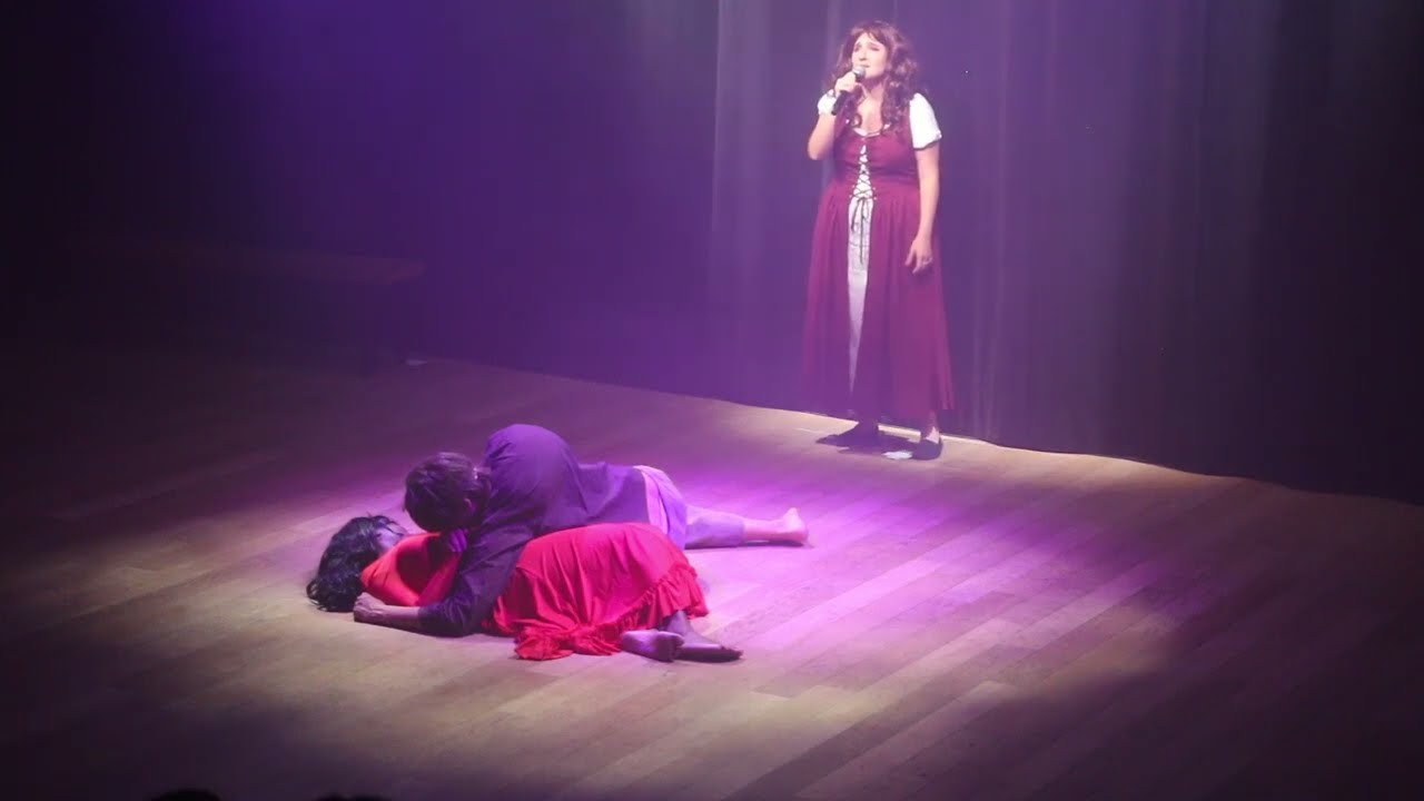 7161 NDP Lune Danse mon Esméralda Le Temps des Cathédrales