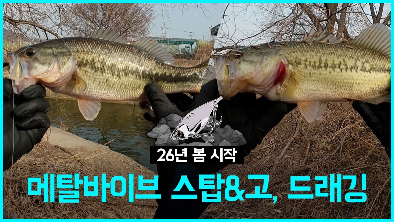 [배스낚시] 메탈바이브 바닥 운영 
