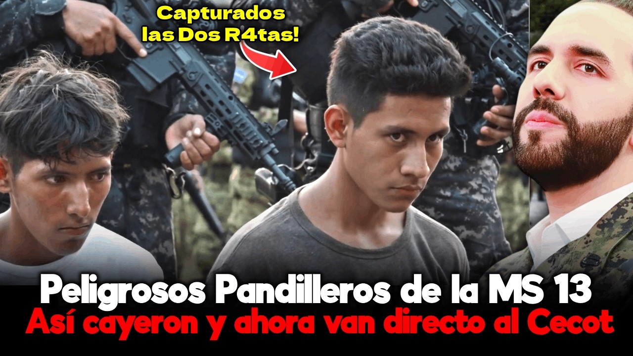 🛑 El Final Que Nadie Imaginaba… Pero Todos Querían