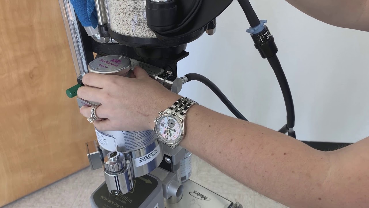 Anesthesia - Parts of the machine and the path of oxygen