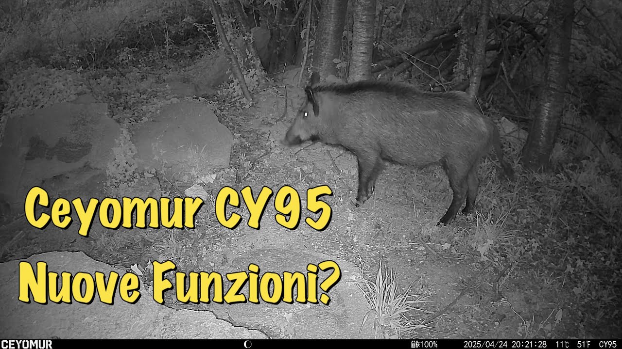 Fototrappola Ceyomur CY 95 nuove funzioni? Vediamolo insieme!