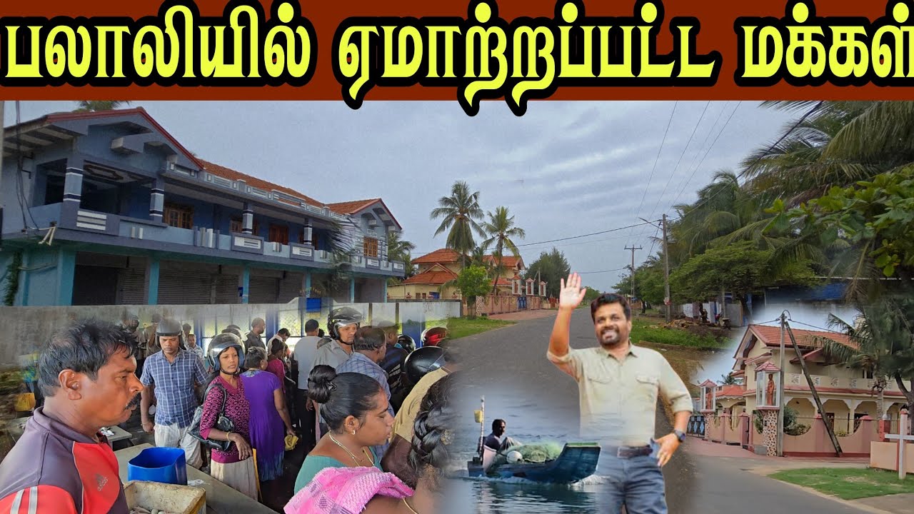 🛑 பலாலியில் ஜனாதிபதி பலாலி மக்களுக்கு என்ன செய்யப் போகிறார் ஏமாற்றப்பட்ட மக்கள்