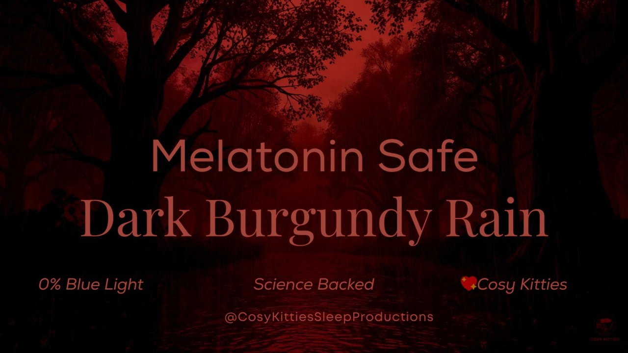 10 Hours Dark Burgundy Forest Rain | Melatonin Safe Sleep (Real Thunder)