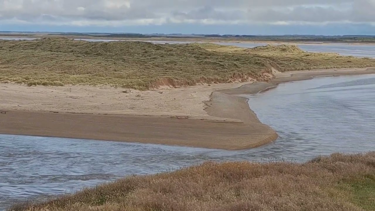 Fortrose Southland New Zealand NY morning 2025