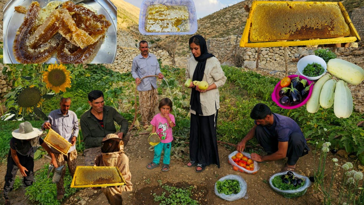 🐝Nomadic Honey Harvesting 🍯 | Nomadic Organic garden🍅| Nomadic lifestyle of Iran🌄