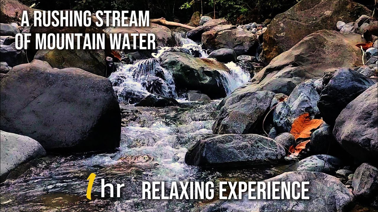Mountain River Sounds for Sleeping 🌊 Natural White Noise for Focus
