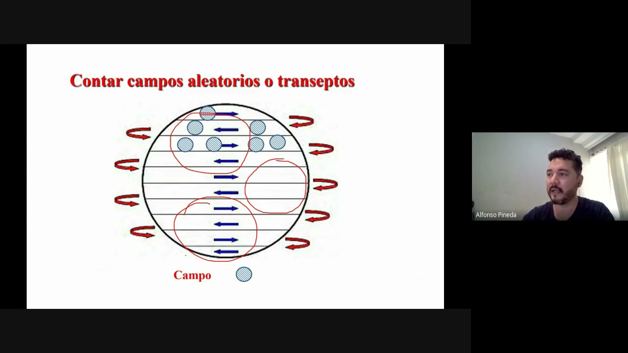 Minicurso / PARTE 7: Conteo de fitoplancton (Análisis Cuantitativo)