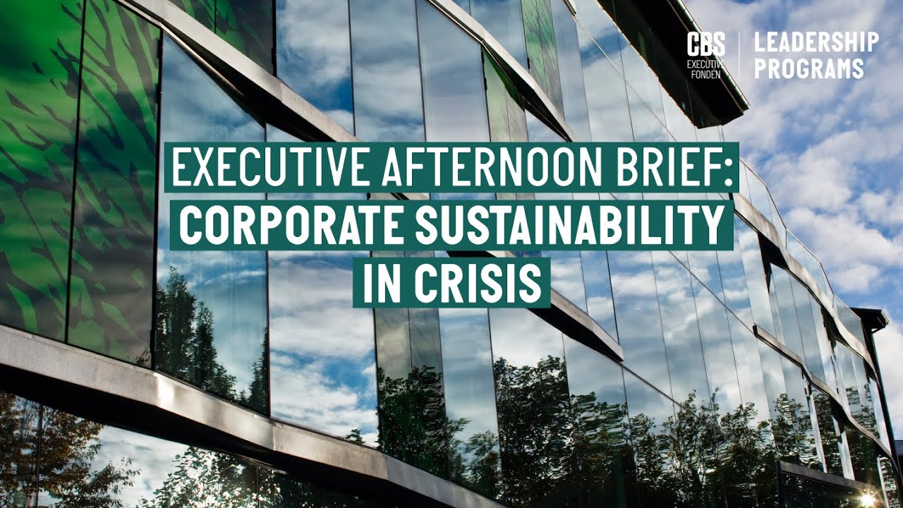 Executive Afternoon Brief: Corporate Sustainability in Crisis
