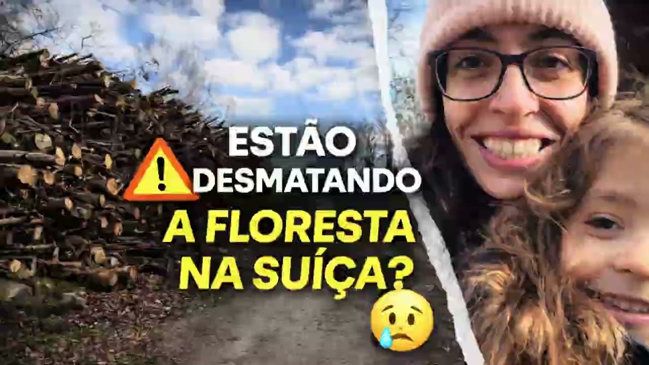 Estão desmatando as florestas na Suíça? 🌲🇨🇭