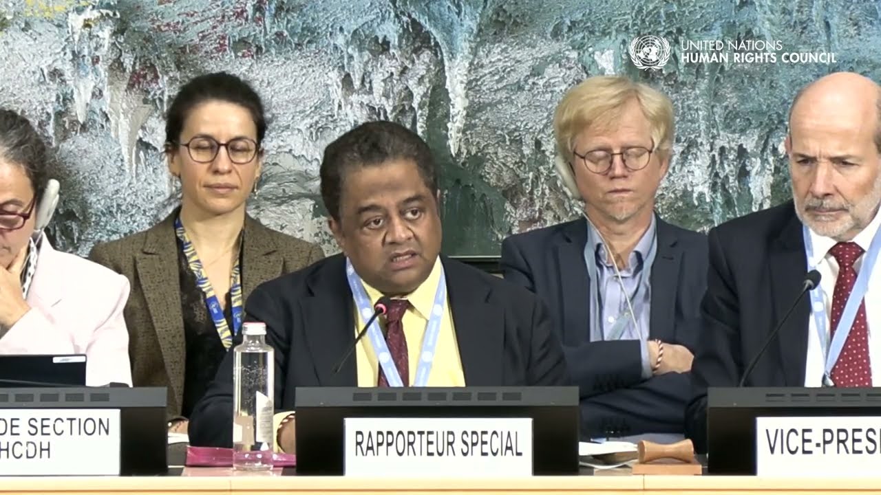 “Domicide”: UN expert warns of mass destruction of homes in war