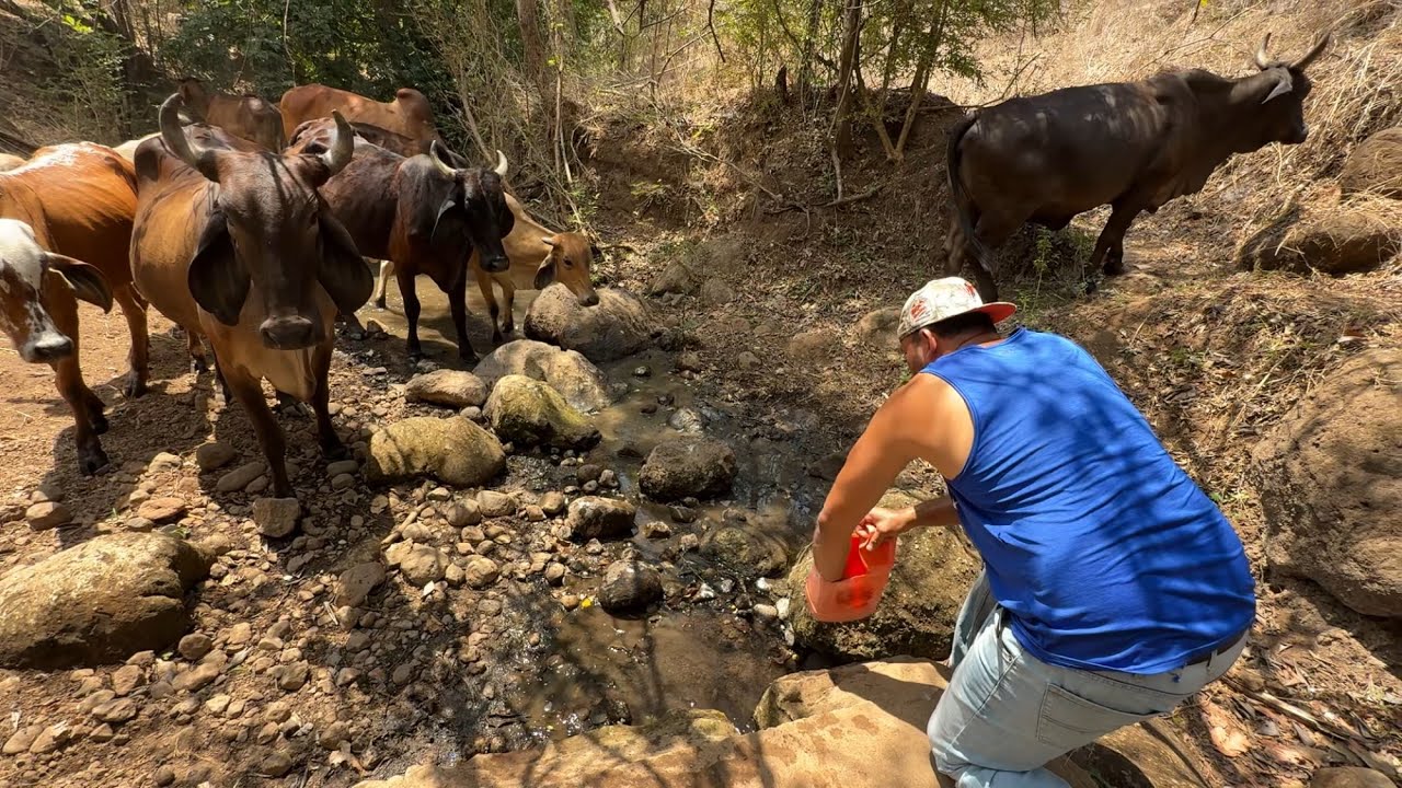 Tomando agua del nacimiento de agua de San Juan 