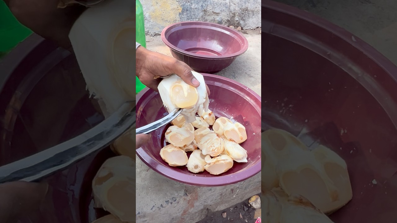 Beat the summer heat with the refreshing Tad fruit (Ice Apple) &ndash; Bihar&rsquo;s natural coolant!