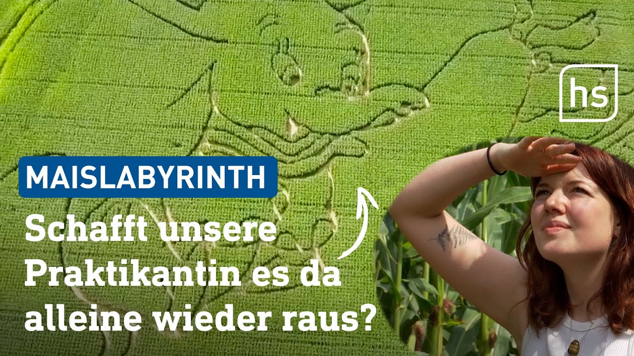 Alleine im 40.000 Quadratmeter gro&szlig;en Dumbo-Maislabyrinth | hessenschau