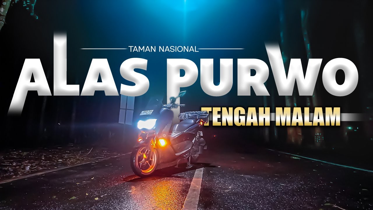 Suasana Alas Purwo TENGAH MALAM