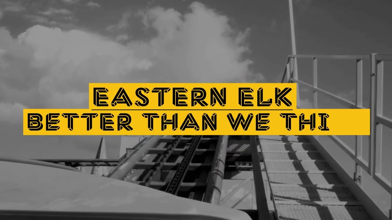 Eastern Elk - Better Than We Think
