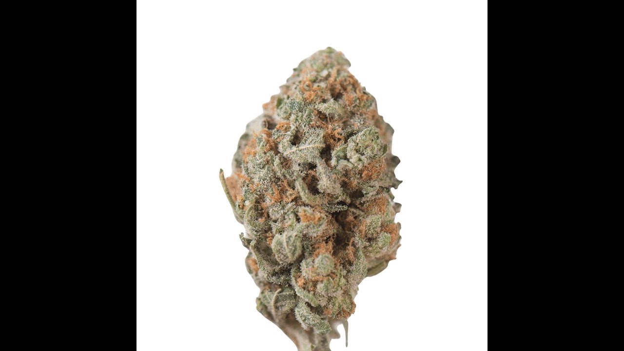 Tangie Mood THCA