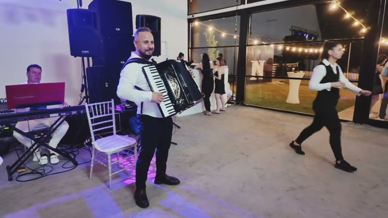 HORA BUCURESTILOR-Petrica Ricu