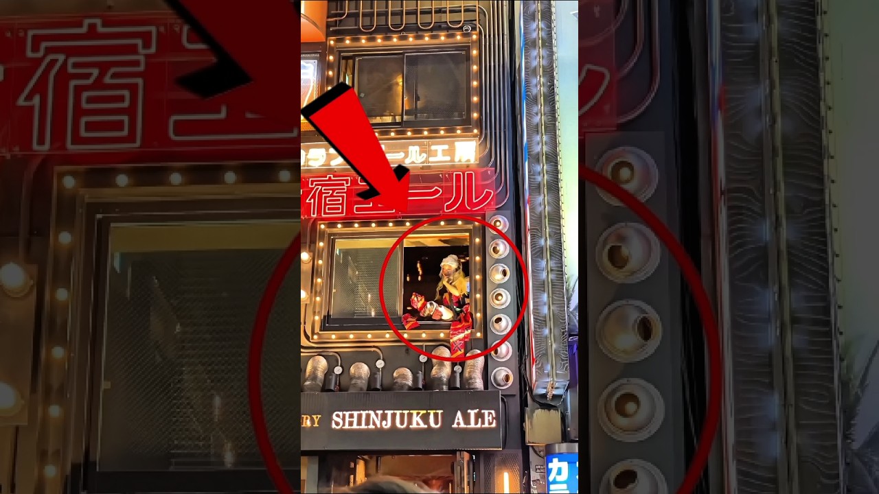 Did You Know? Tokyo&rsquo;s Wild Nightlife in Kabukicho 🌸✨