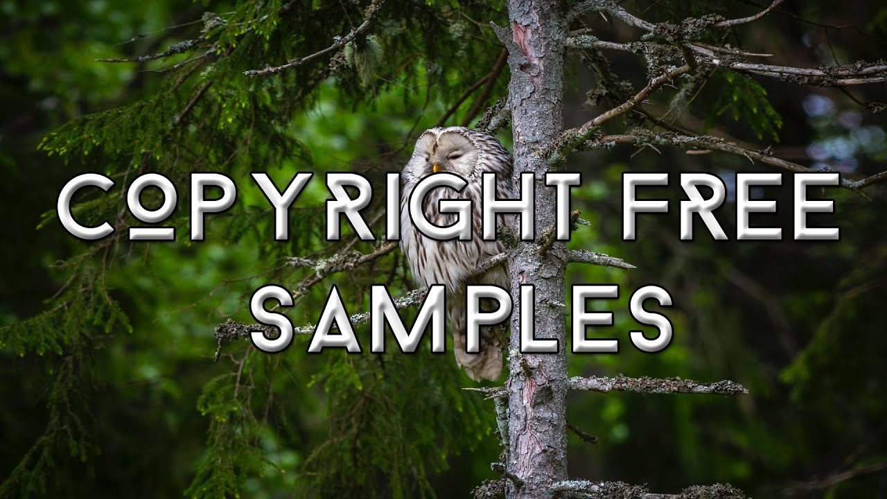 [Free To Monetize] Trap Flute Loops Compilation 16# (Free Trap Flute Loops/Samples)